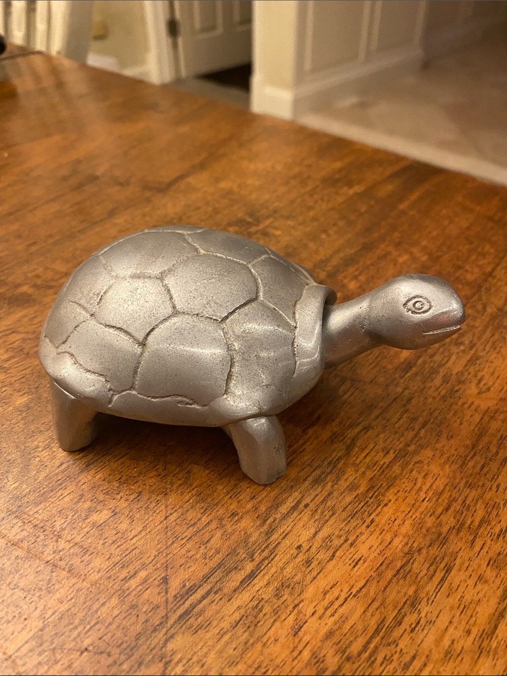 Metal Turtle Box